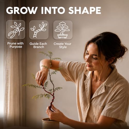 Bonsai Tree Kit Deluxe - Growing 5 Unique Japanese Bonzai Trees - Image 6