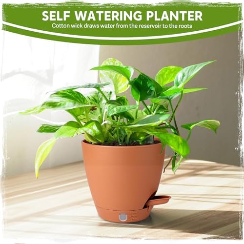 5 Pack 6 Inch Self Watering Planters for Indoor Plants, Automatic Watering Pots for Busy Plant Parents & Vacation, Decorative Modern Flower Pots with Drainage & Saucers (Terra Cotta, 6 inch) - Image 7