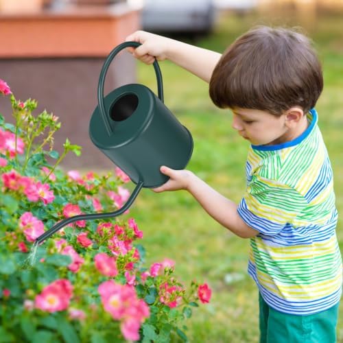 Plant Watering Can, 50 oz / 1500 ml Stainless Steel Metal - Modern Decorative with Long Spout for Indoor Potted Plants, Bonsai, Garden Flowers, Alpinegreen - Image 7