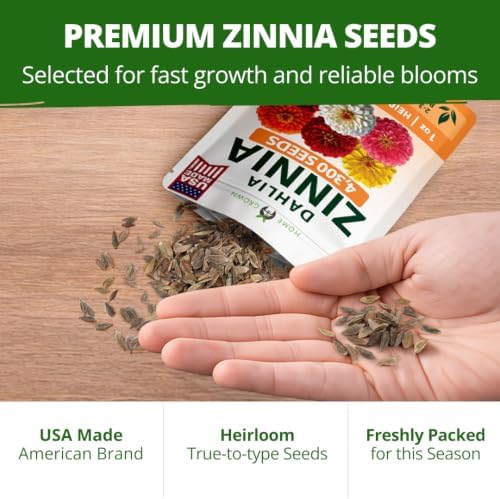 HOME GROWN Zinnia Seeds Dahlia Mix - 4300 Seeds, Zinnia Elegans - Image 7