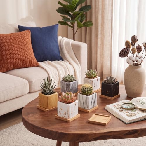 Ziliny 12 Pcs Marbling Ceramic Flower Pot Succulent Small Plant Cactus Herbs Planter Ceramic Pot with Drainage Hole Matte Container (Square Style) - Image 6