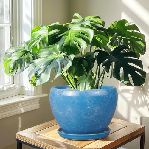Ceramicfor 10 Inch Planter Pot, Ceramic Pots for Plants with Drainage, Blue - Image 7