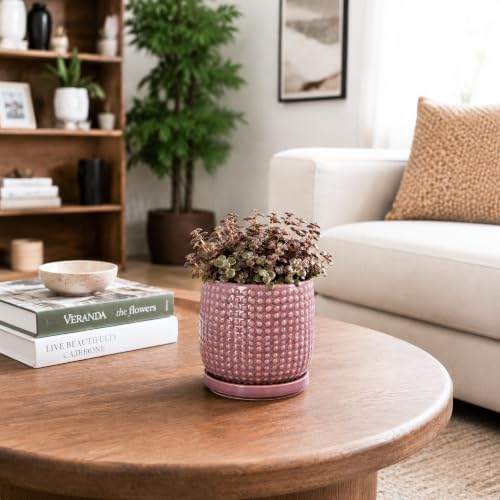 D'vine Dev Beaded Ceramic Pot with Saucer, 4 in, Blush Mauve, 27-C-Z-K - Image 7