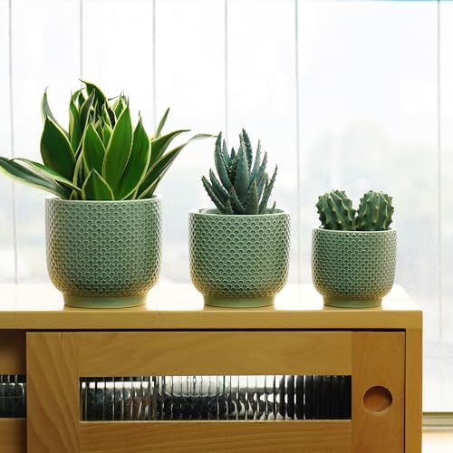 4 + 5 + 6 Inch Ceramic Pots for Indoor Plants, Succulents Plant Pots, Orchid Flower Pot with Drainage Hole, Modern Clay Stoneware Planters, Set of 3 (Green, 4+5+6 Inch) - Image 7