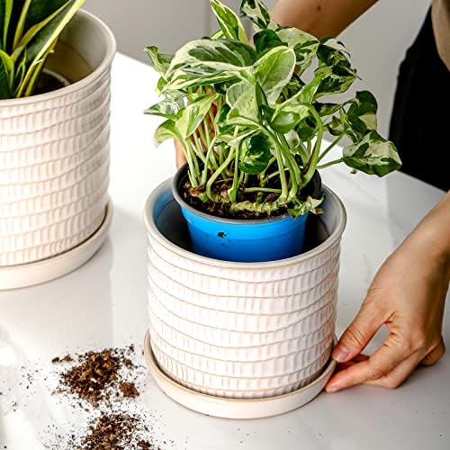 5.8 Inch Ceramic Planter with Drainage Hole & Bonded Saucer - Image 6