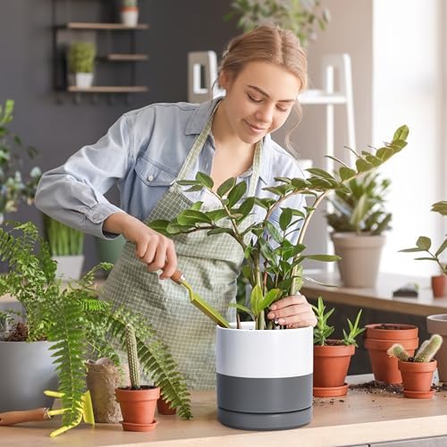 D'vine Dev 2-Pack Ceramic Pots with Saucers, White/Grey, 8.2 in, 94-V-D-6 - Image 6