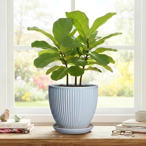 8 Inch Plant Pot Indoor, Ceramic Flower Pots with Drainage Hole and Saucer, Round Plant Pot for Indoor House Plants, Modern Plant Pot Indoor, Office Home Decor, House Warming Gifts, Light Blue - Image 7