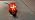 Bieye L10989 Red Land Snail Tiffany Style Stained Glass Accent Table Lamp - Image 7
