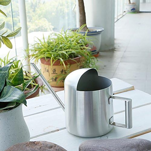 Mini Watering Can, 10oz/300ml Stainless Steel Long Spout Small Watering Can for Indoor Plants Succulents, Herbs (Silver) - Image 7