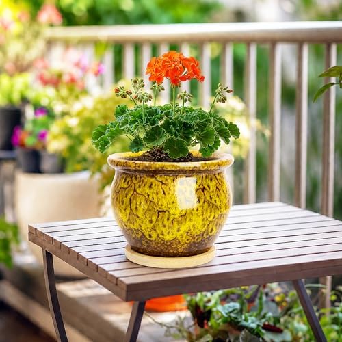 Plant Pots, 4.5 Inch Plant Pots for Indoor, Small Ceramic Planter with Tray - Image 7