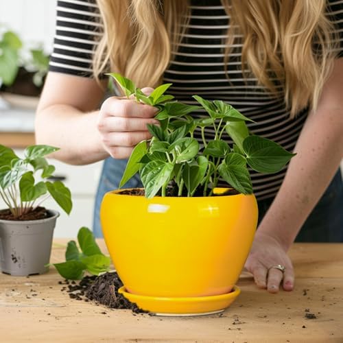 Ceramicfor Ceramic Pot for Plants - 6 Inch Plant Pot Glaze Modern Decorative Round Planter with Drainage Hole and Saucer for Home Patio Room Office House Decor, Yellow - Image 6