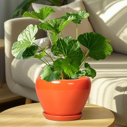 Ceramicfor Indoor Plant Pot, 8 Inch Ceramic Plant Pot, Orange - Image 7