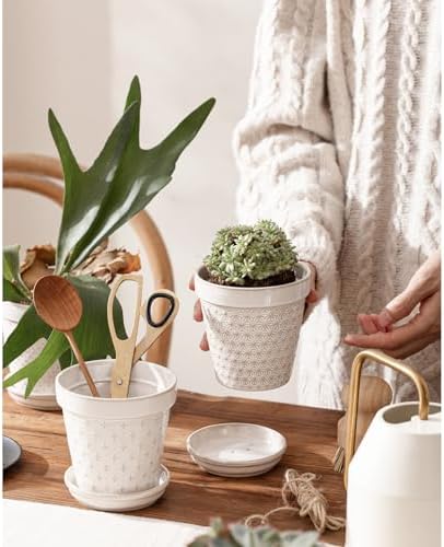 Ceramic Succulent Pots with Drainage Hole & Saucer, 4 Inch Small Plant Pots, Ceramic Planter for Indoor Plants, Embossed Flower Pots, Home Decor, Set of 4, Off-White - Image 7