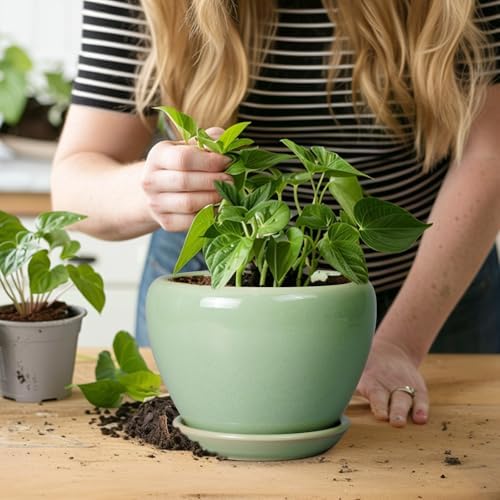 Ceramicfor 6 Inch Plant Pot - Ceramic Planter for Indoor Plants Round Planter Outdoor Plant Pot with Drainage Hole and Saucer Modern Flower Pot for Succulent Garden Green - Image 6