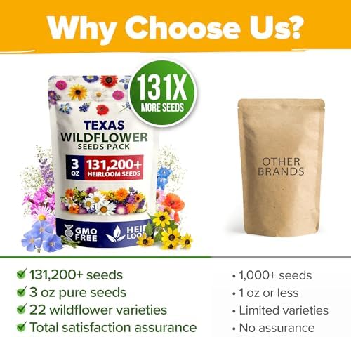 HOME GROWN Texas Wildflower Mix 131,200+ Flower Seeds 3 oz - Image 7