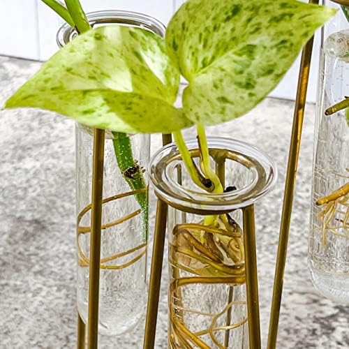 Propagation Station Terrariums with Gold Metal Stand - Kate Aspen 3 Glass Test Tube Planters for Indoor Plant, Air Plants, Plant Clippings, Cut Flowers, Herbs, Succulents | Home Decor Table Decoration - Image 6