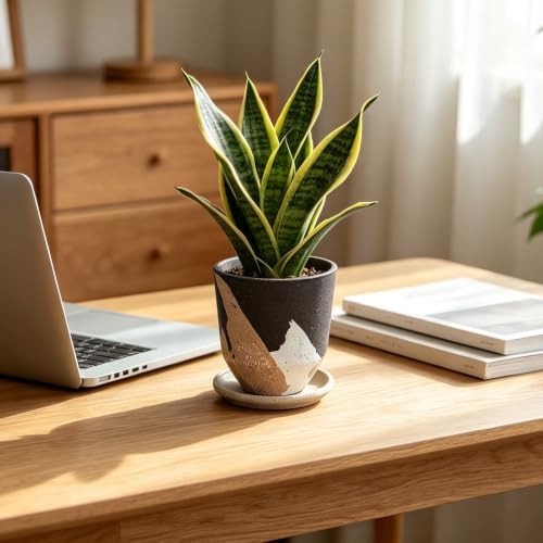 5.1 Inch Ceramic Planter Pot with Drainage Hole and Saucer, Rustic Round Flower Pot for Indoor Succulent Plants, Home Office Desk Decor(Brown&White) - Image 6