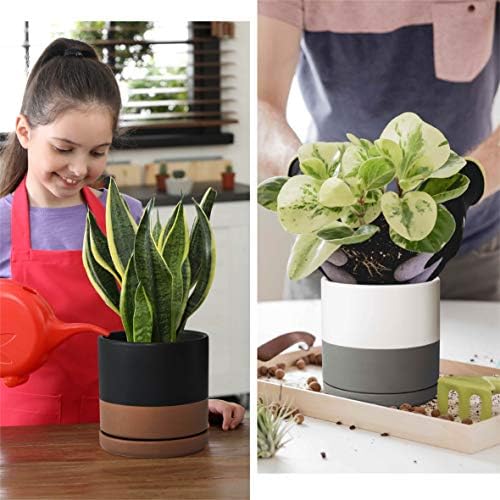 D'vine Dev Set of 2 Plants Pots, 6 Inch Ceramic Planter Pot for Plants with Drainage Hole and Saucer, White-Grey/Black-Tan, 94-V-C-C - Image 6