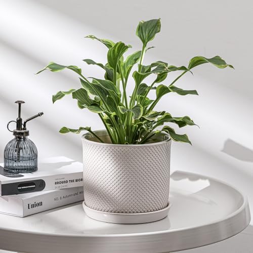 8 Inch Plant Pot: Ceramic Planter with Drainage Hole & Saucer Indoor Outdoor Plants - Flowerpot with Bonded Tray for Home Office - Beaded Embossed Style, Cream White - Image 6