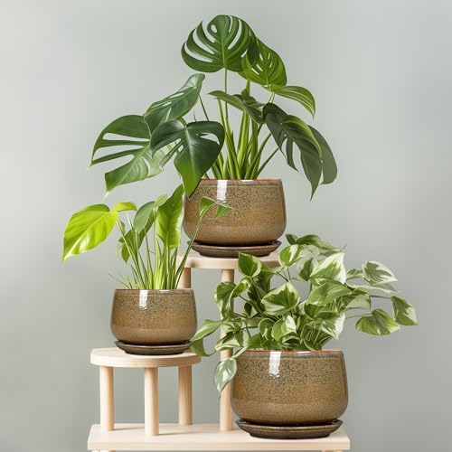 G EPGardening 7 Inch Ceramic Pots for Plants - Ceramic Planters for Indoor Outdoor Plants, Round Plant Pots with Drainage and Saucer, Modern Planter, House Decor, Plant Lover Gifts, Speckled Brown - Image 7
