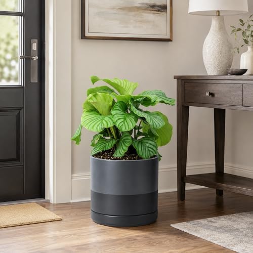 D'vine Dev 10 Inch Ceramic Planter Pot, Slate, 94-O-E-5 - Image 6