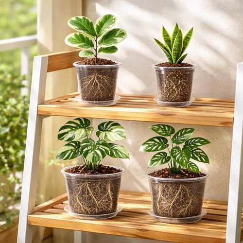 Bluepro Clear Nursery Pots with Saucers, 5/6/8/10 Inch, 12-Pack - Image 5