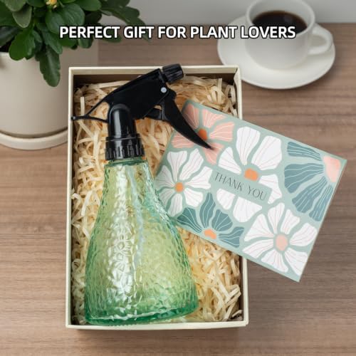 Glass Plant Mister Spray Bottle for Indoor Plants, 13oz, Mint Green - Image 7