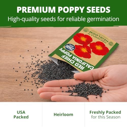 HOME GROWN Red Chief California Poppy Seeds, 2500 Eschscholzia californica - Image 7