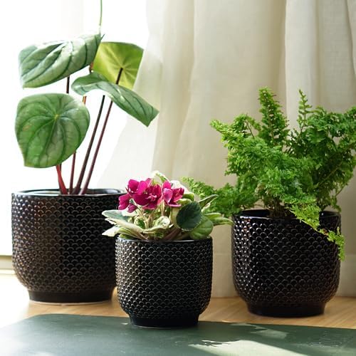 4 + 5 + 6 Inch Ceramic Pots for Indoor Plants, Succulents Plant Pots, Orchid Flower Pot with Drainage Hole, Modern Clay Stoneware Planters, Set of 3 (Black, 4+5+6 Inch) - Image 7
