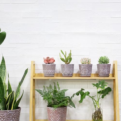Gepege Ceramic Succulent Pots, 4 Inch Small Plant Pots with Drainage - Image 6