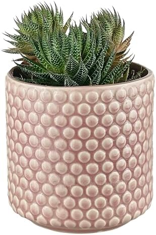 Nordring Stoneware Flower Pot, 6'' Rose, Polka Dots - Image 4