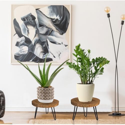 OBTAIN Plant Stand Indoor Outdoor Wood Mid Century Plant Stand for Indoor Plants, Modern Plant Table Round Plant Stool, Boho Rustic Wooden Stool for Plant Pot Hol (L) - Image 6