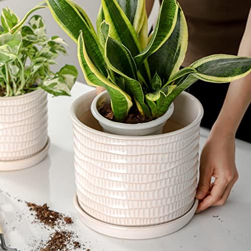 8 Inch Ceramic Planter with Drainage Hole & Bonded Saucer - Image 6