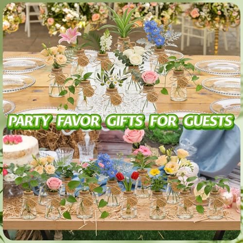 48PCS Plant Propagation Stations 3.35'' Plastic Propagation Jars Clear Vase - Image 6