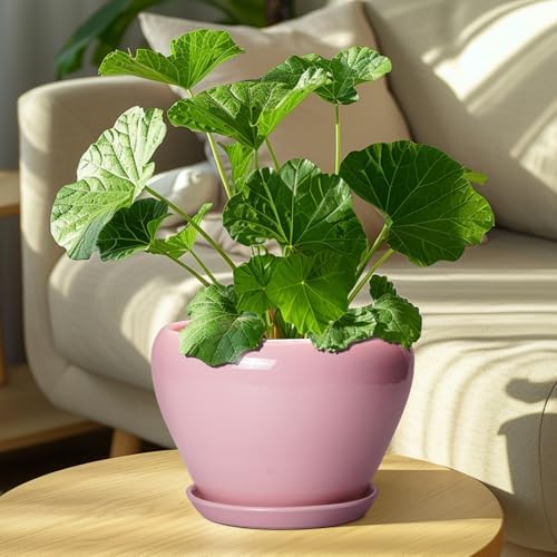 Ceramicfor Ceramic Modern Glaze Succulent Planter Pot with Drainage Hole and Saucer 8 Inch Round Flower Plant Pot for Indoor Outdoor Herb Snake Plants, Pink - Image 7