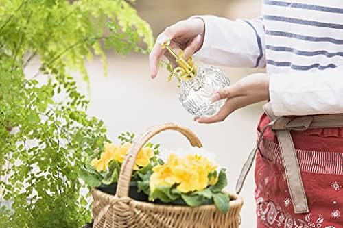 Glass Plant Mister Water Spray Bottle, Succulent Watering Bottle with Plastic Top Pump, 200 ML Capacity Vintage Style Plant Sprayer, Small Watering Can for Indoor Outdoor House Plants - Clear - Image 7