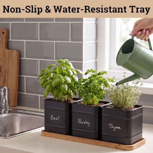 Herb Planter Indoor, 3-pc Herb Pots w/ Drainage Holes, Bamboo Tray & Labels - Image 6