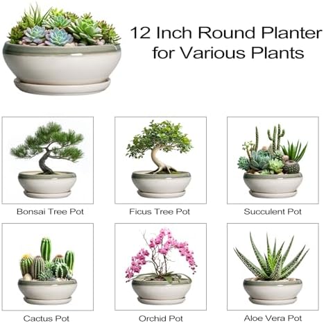 SQOWL Large Succulent Planters, 12 Inch Ceramic Bonsai Pots, Gray-Beige - Image 7
