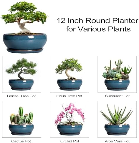 SQOWL Bonsai Tree Pots - 12 Inch Ceramic Succulent Pots, Large Shallow Planter with Drainage Hole and Saucer, Bowl Round Planters for Indoor Outdoor Plants, House Decor, House Warming Gifts, Blue - Image 7