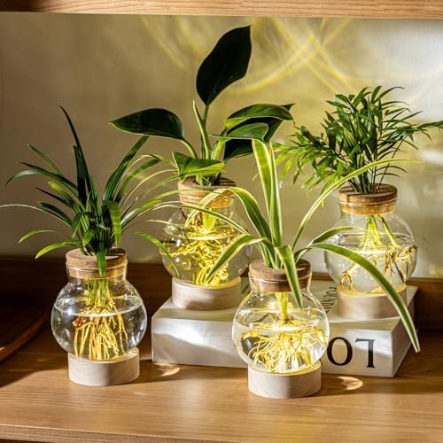 Propagation Stations, Plant Propagation Station with Light Base, Glass Propagation Vases, Hydroponic Vase for Plants, Glass Terrarium for Home Office Windowsill Tabletop Decoration (5) - Image 6