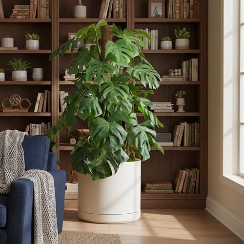 D'vine Dev 16 Inch Ceramic Planter Pot, Oatmeal, 94-O-H-8 - Image 6