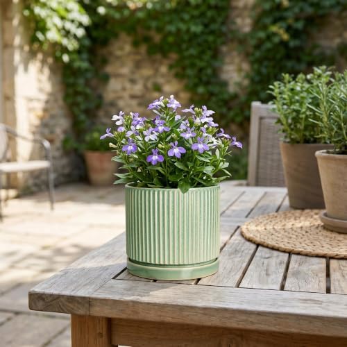 4 Inch Plant Pots, Ceramic Planter, Round Flower Pots, Green - Image 7