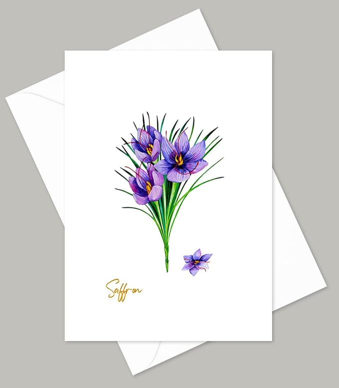 Vintage Herb Greeting Cards, 5x7 Inches, Set of 10 with Decorative Stickers, Blank Inside.