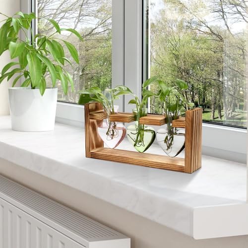 Plant Terrarium Propagation Stations Hydroponics - Image 6
