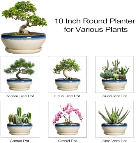 SQOWL Bonsai Pots, 10 Inch Ceramic Pots for Succulents, Blue-Beige - Image 7