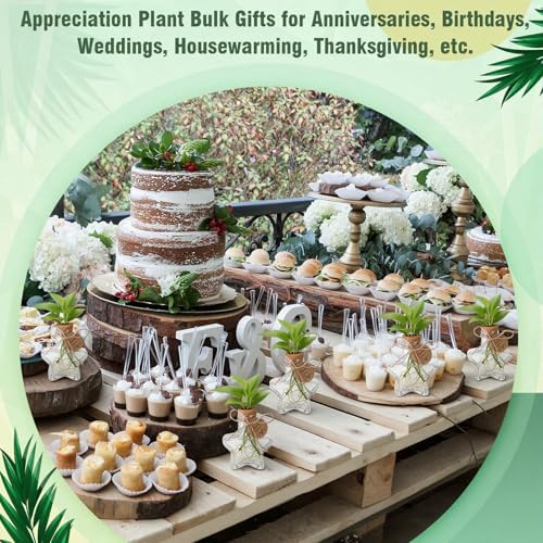 24 Pack 3.74'' Star Plastic Plant Propagation Stations with Hole Lid - Image 6