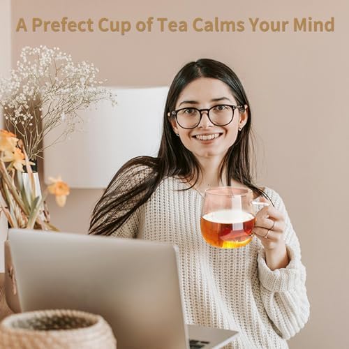 DOPUDO Glass Tea Cup with Infuser and Lid, 14.5oz/450ml Large Borosilicate Glass Teacup with Stailess Steel Filter, Clear Mug for Loose Leaf Blooming Tea, Dishwasher Safe - Tea Maker Gift. - Image 7