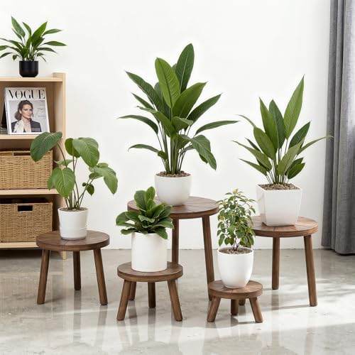 Delma Wood Plant Stands 5-Pack Indoor, Plant Stool, Dark Brown - Image 6
