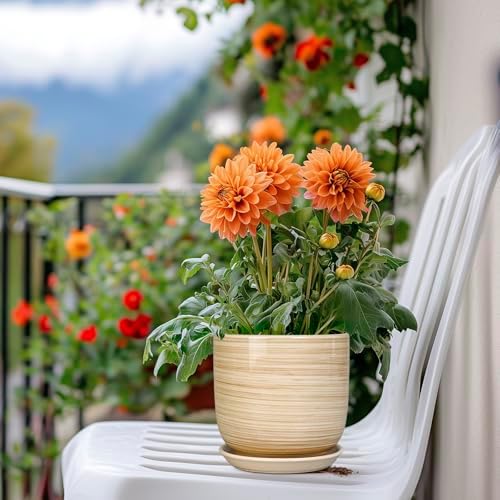 Ceramic Plant Pot 5 Inch - Modern Round Succulent Planter for Indoor Plants with Drainage Hole and Saucer, Office Home Room House Decor, Yellow - Image 7