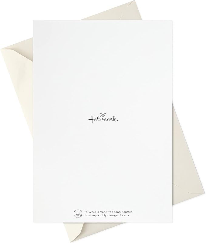 Hallmark Sympathy Cards Assortment, Abstract Watercolor (16 Assorted Thinking of You Cards with Envelopes)